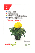 Aukštasis serentis (gvazdikinis)"Discovery Yellow"