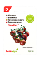 Valgomieji pomidorai „Black Cherry“