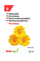 Žemasis serentis (gvazdikinis)"Disco Orange"