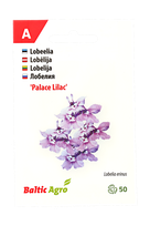 Lobelija  „Lilac Palace"