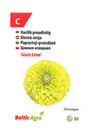 Paprastoji gvaizdūnė "Giant Lime"