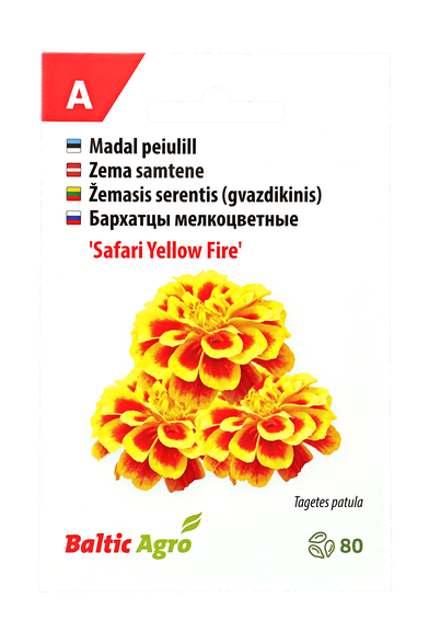 Žemasis serentis (gvazdikinis)"Safari Yellow Fire"