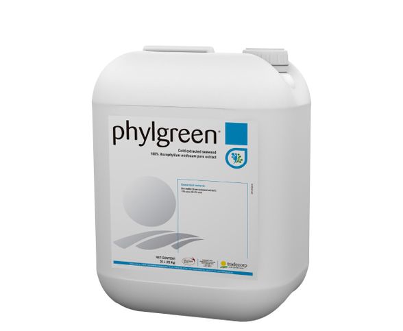 Phylgreen