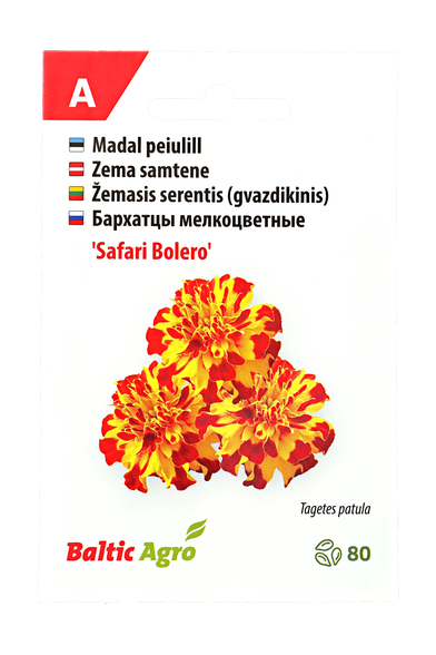 Žemasis serentis (gvazdikinis)"Safari Bolero"