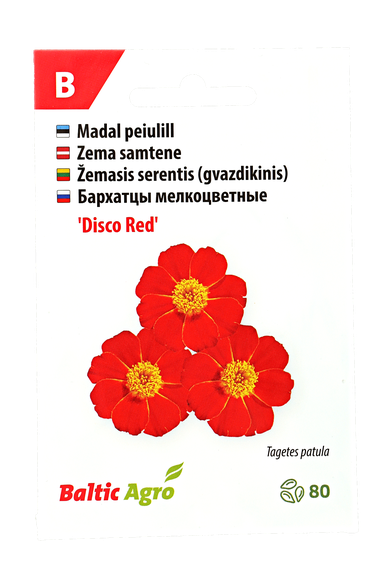 Žemasis serentis (gvazdikinis)"Disco Red"