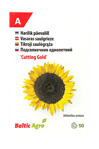 Tikroji saulėgrąža "Cutting Gold"