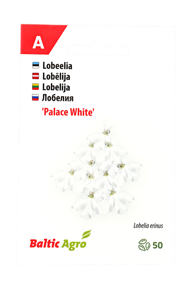 Lobelija „White Palace "