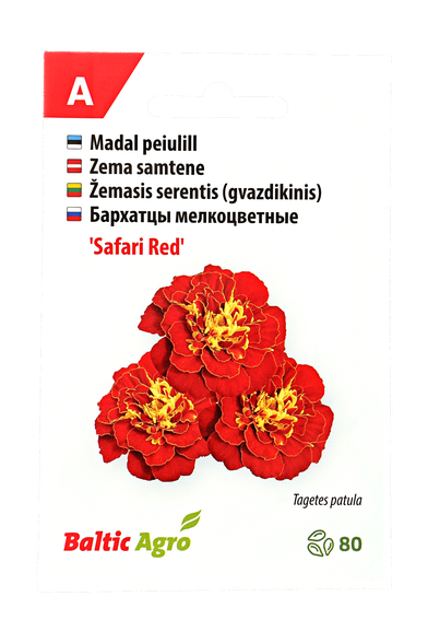 Žemasis serentis (gvazdikinis)"Safari Red"