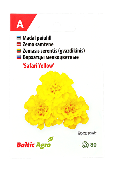 Žemasis serentis (gvazdikinis) "Safari Yellow"