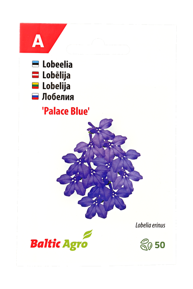 Lobelija „Blue Palace"