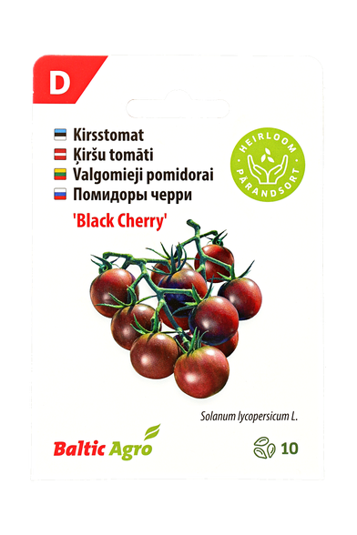 Valgomieji pomidorai „Black Cherry“