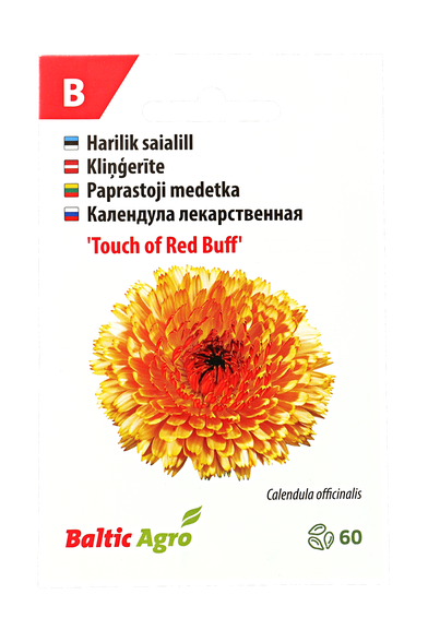 Paprastoji medetka "Touch of Red Buff"