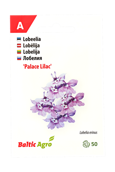 Lobelija  „Lilac Palace"