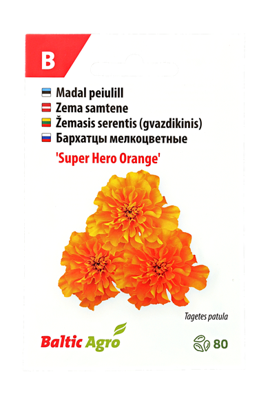 Žemasis serentis (gvazdikinis)"Super Hero Orange"