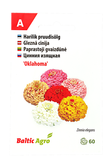 Paprastoji gvaizdūnė "Oklahoma"