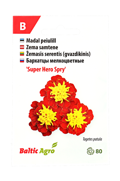 Žemasis serentis (gvazdikinis)"Super Hero Spry"