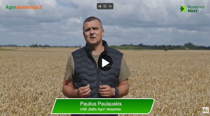 Kaip pasirinkti efektyvias startines trąšas?
