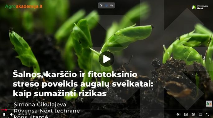 Šalnos, karščio bangos ir fitotoksinis stresas: kaip sumažinti žalą pasėliams?